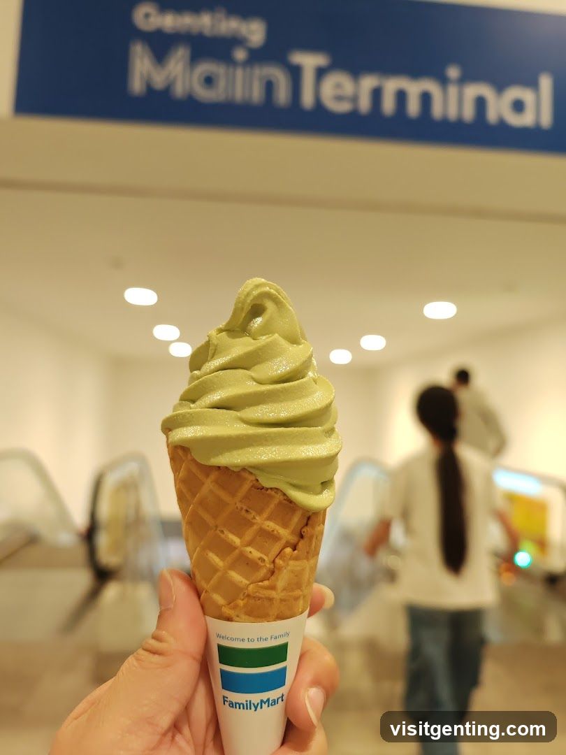 Ice Cream in Terminal