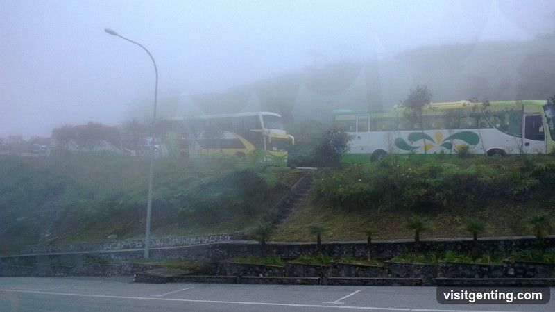Foggy Hillside with Buses