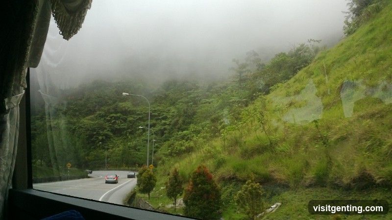 View from bus window