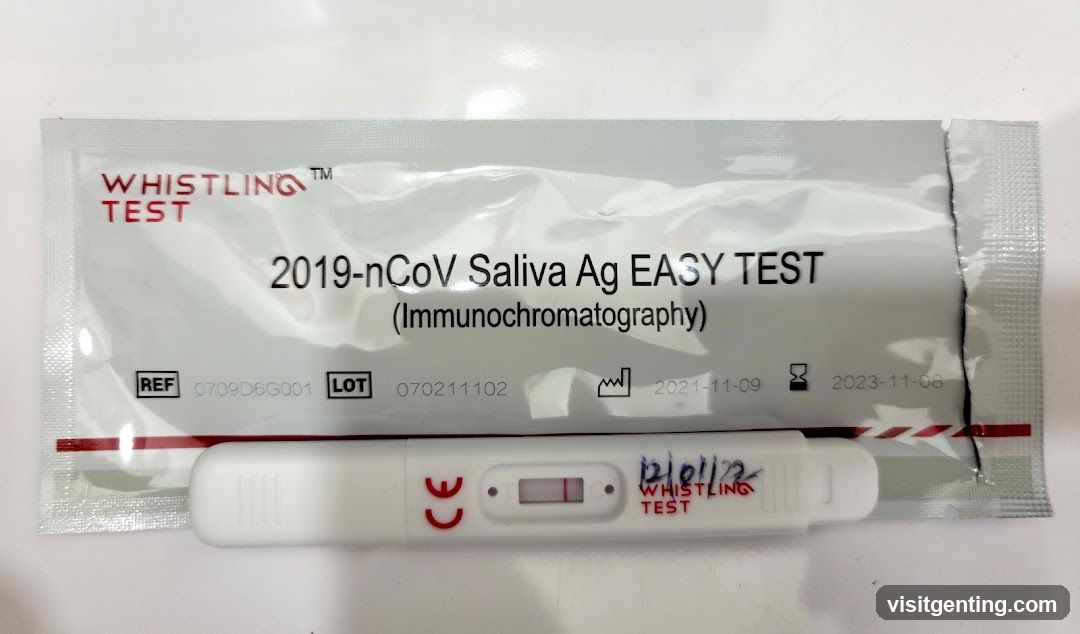 Whistling Test Saliva Ag EASY TEST