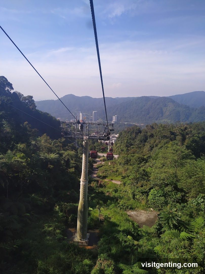 Cable Car View Over Forested Mountains