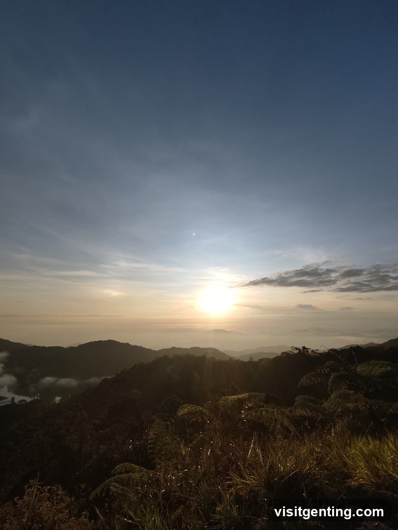 Mountain Sunset View