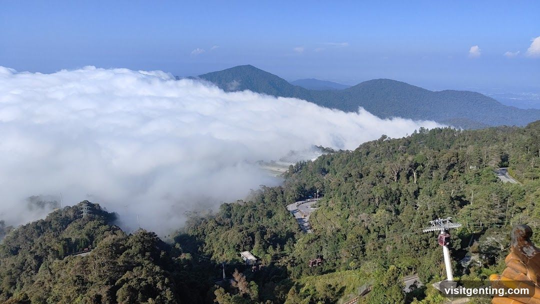 Mountain View with Cloud Sea