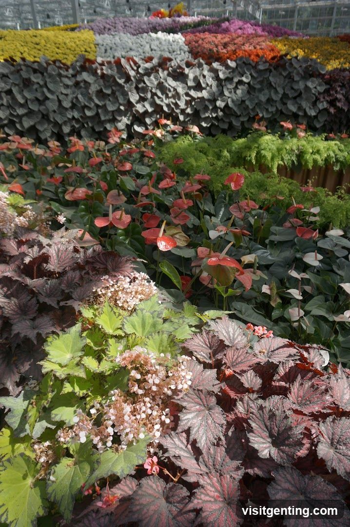 Eufloria Gardens & Sculpture Park