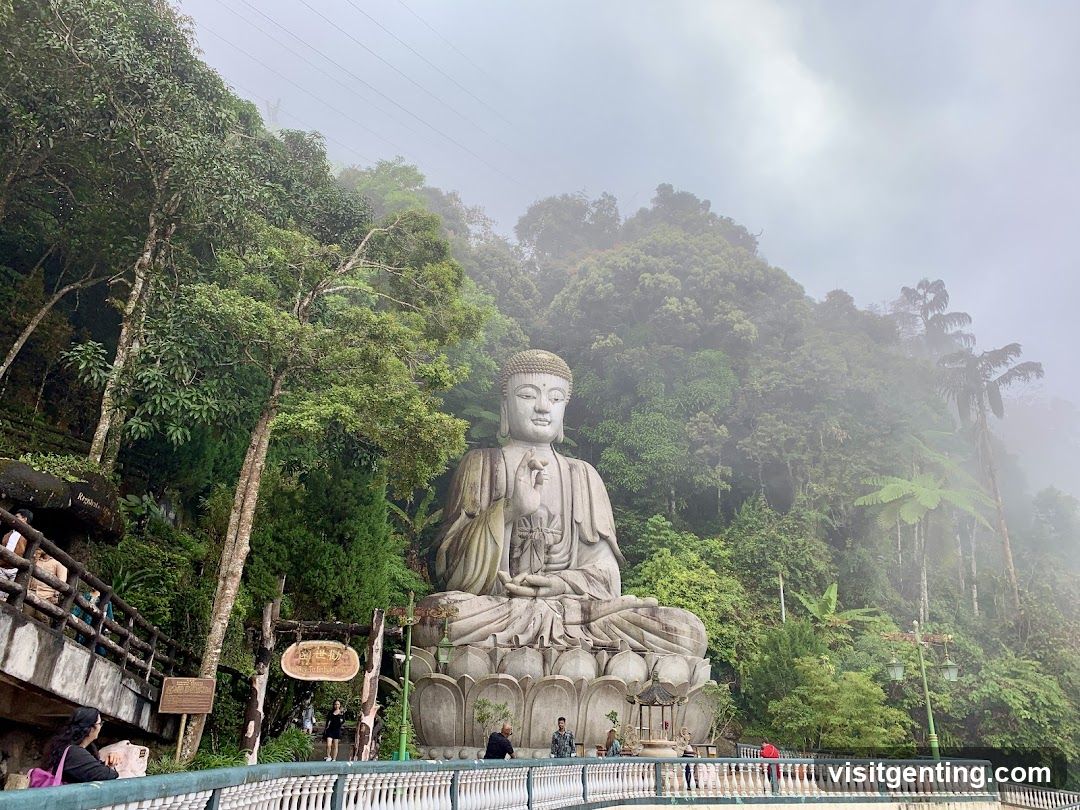 Buddha Statue in Forested Area