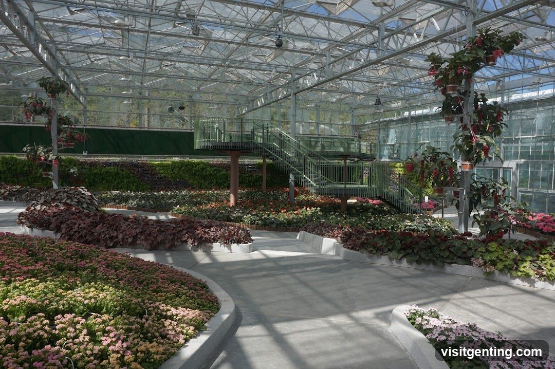 Greenhouse Interior