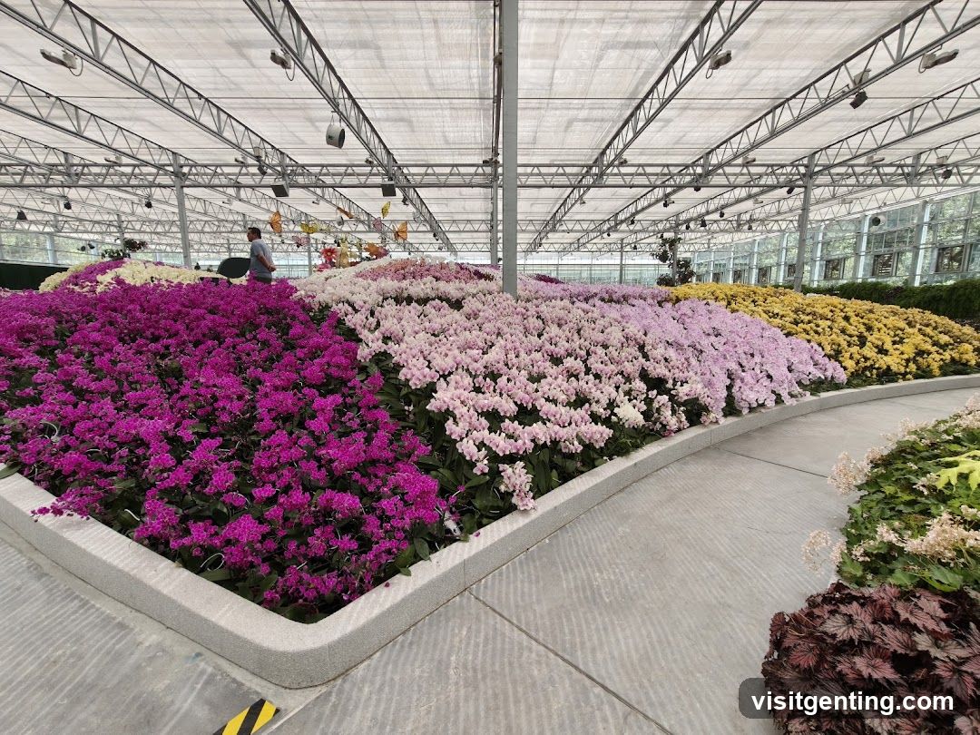 Floral Display in Greenhouse