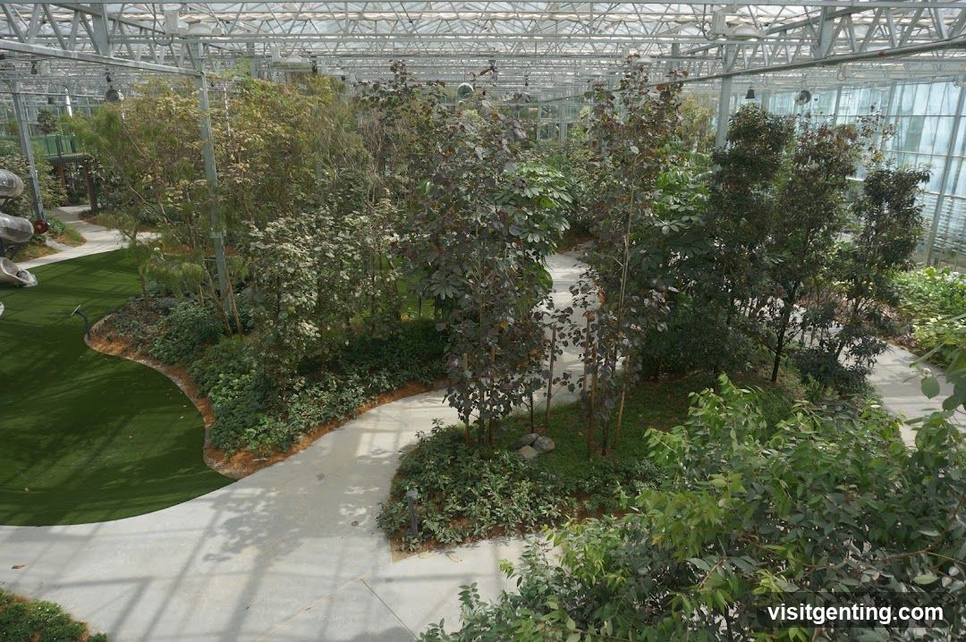 Indoor greenhouse garden