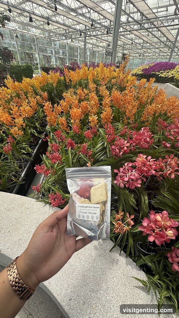 Hand holding gift bag in floral greenhouse