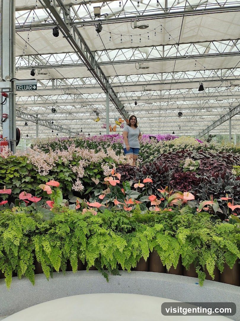 Interior of a greenhouse or floral exhibition space
