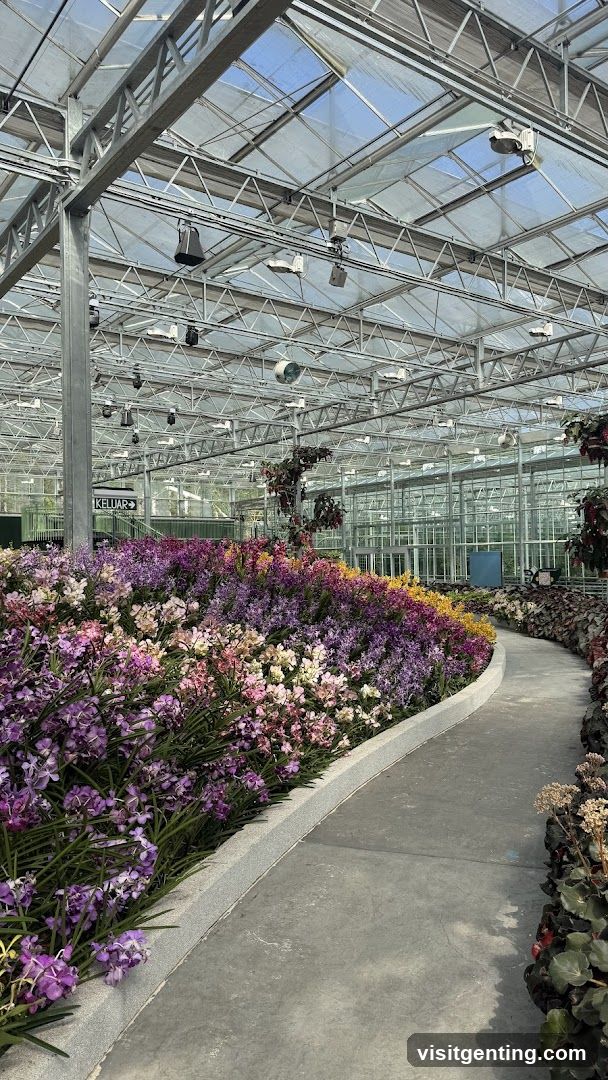 Glasshouse Interior with Floral Display