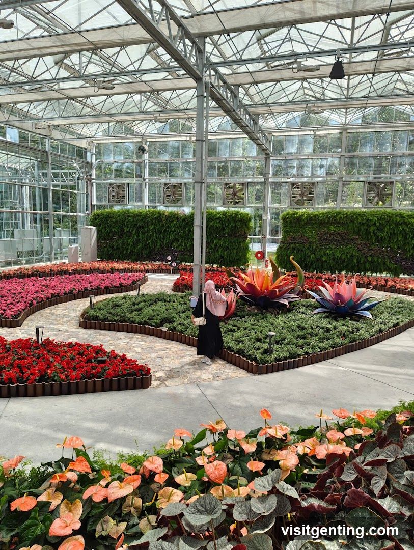 Glasshouse Interior with Floral Displays