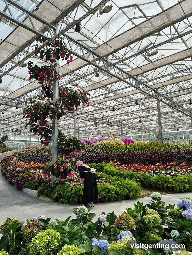 Greenhouse Interior