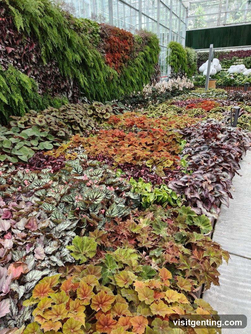 Botanical Display in Greenhouse