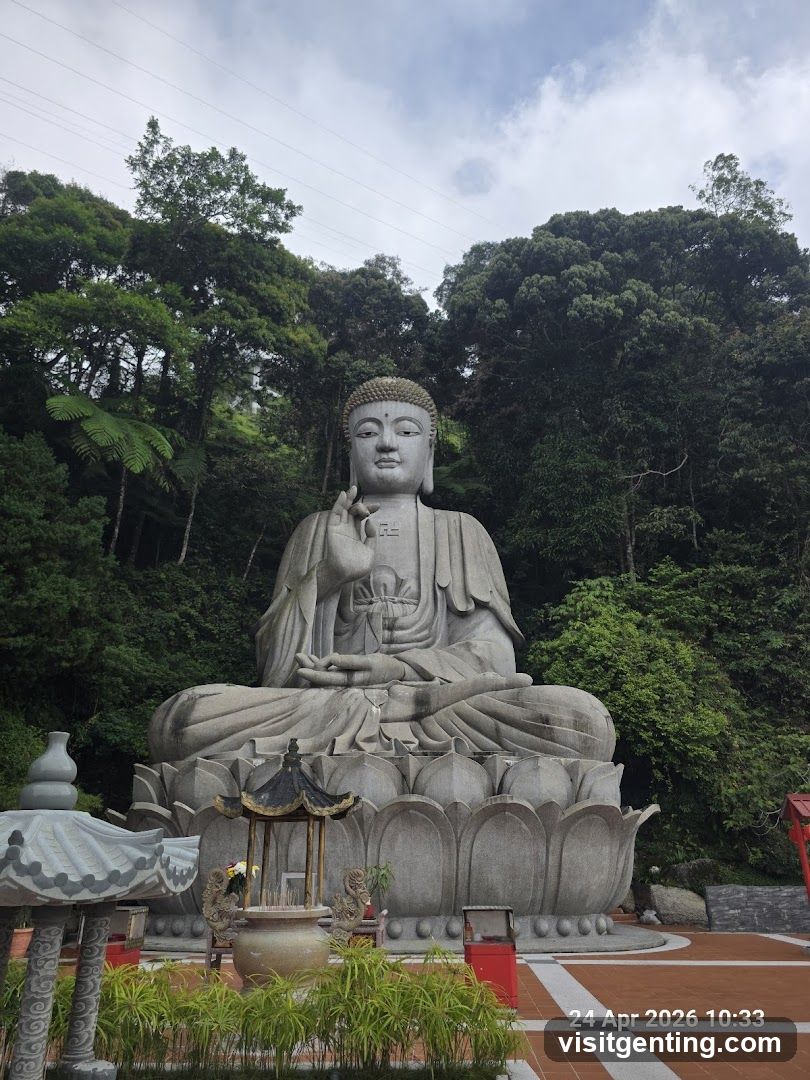 Buddha Statue in Forested Area