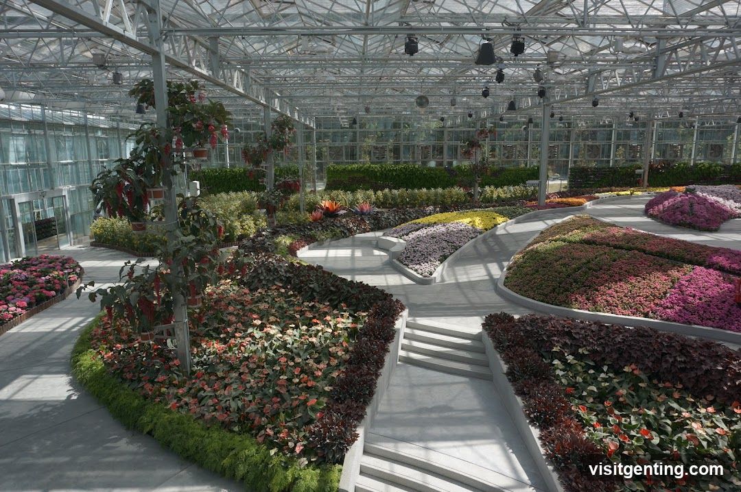 Greenhouse Interior
