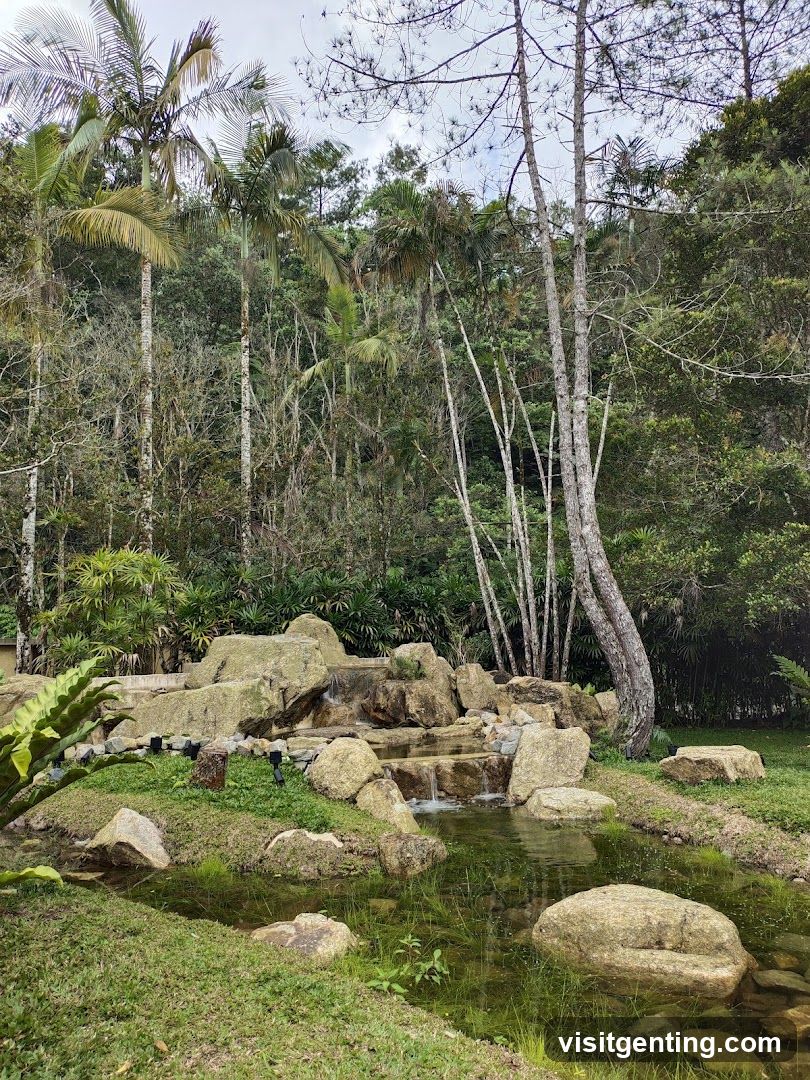 Nature Garden Scene