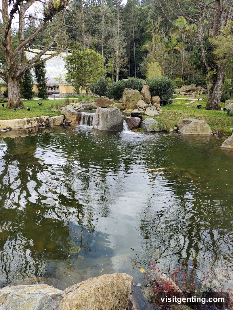 Nature Garden Scene