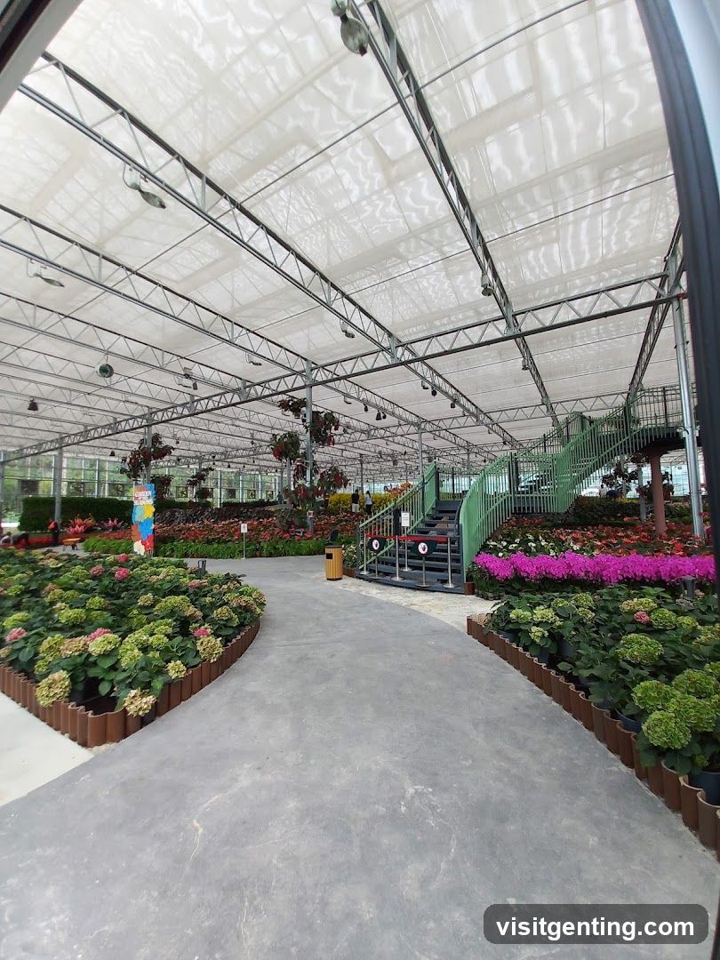 Indoor Floral Display