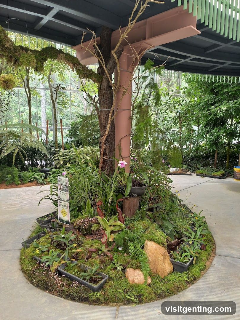 Indoor Botanical Display