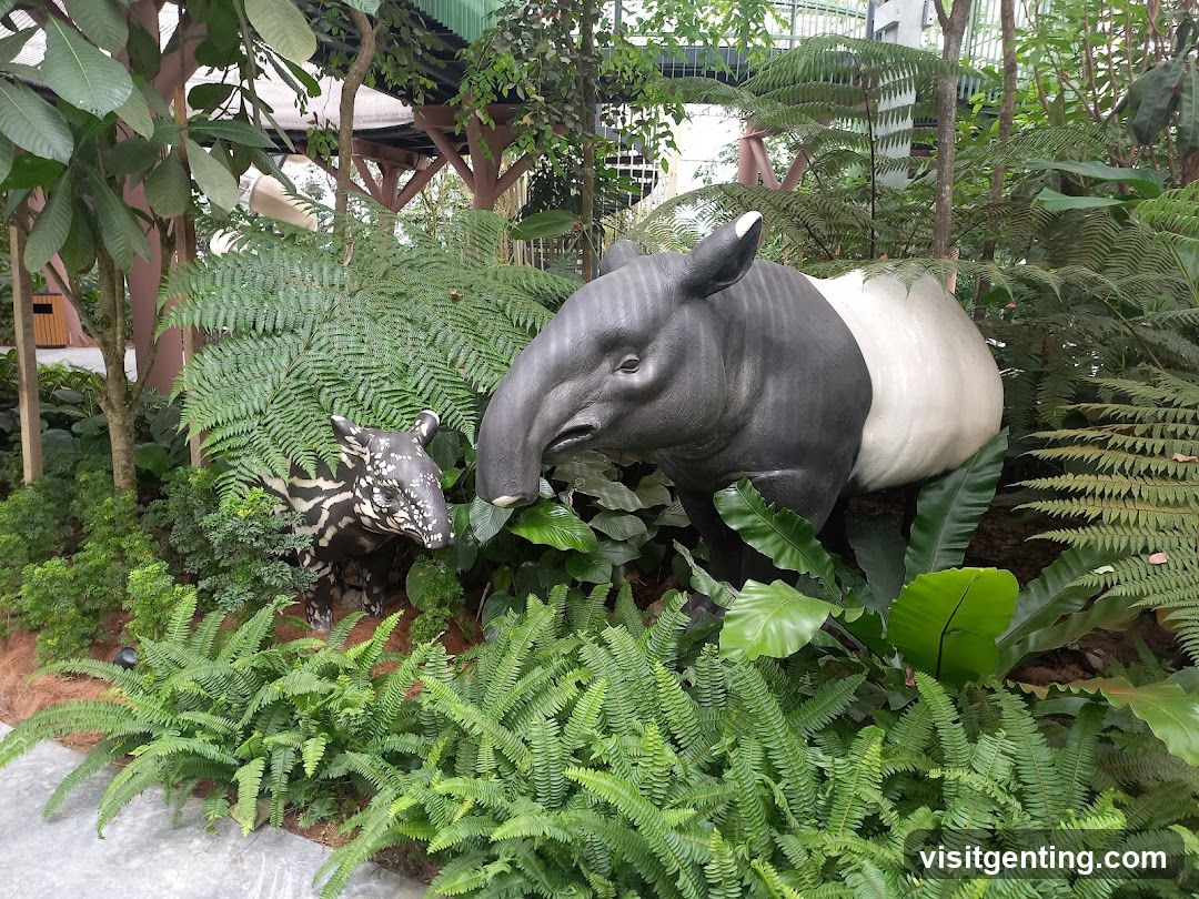Tropical Animal Exhibit