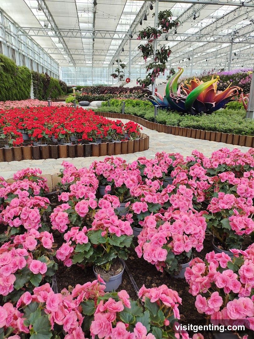 温室花卉展览区