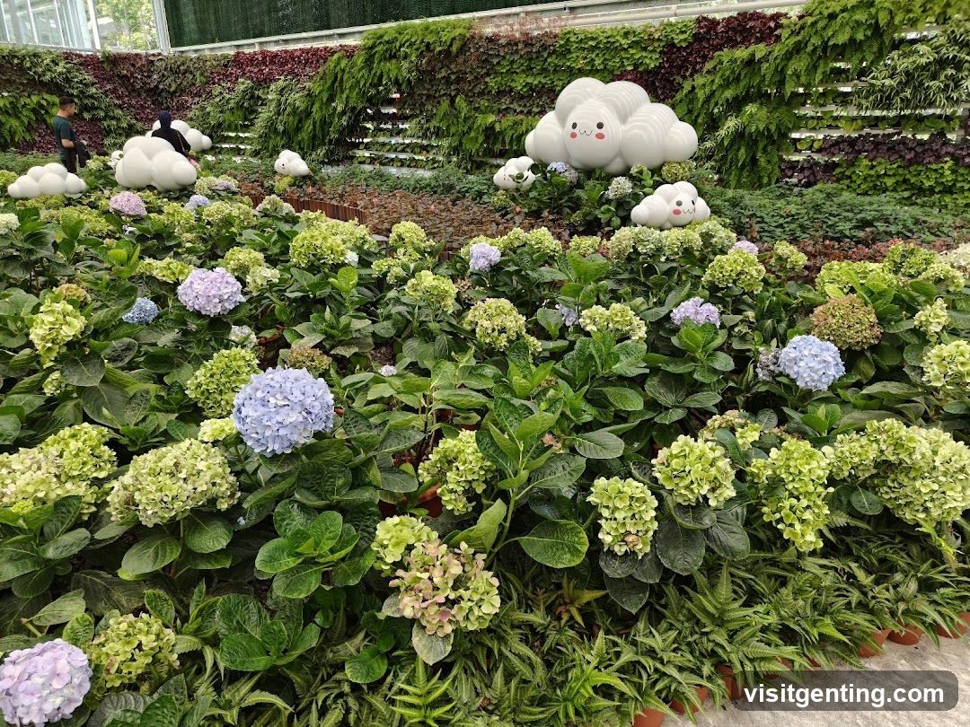 Hydrangea Garden with Cloud Decorations