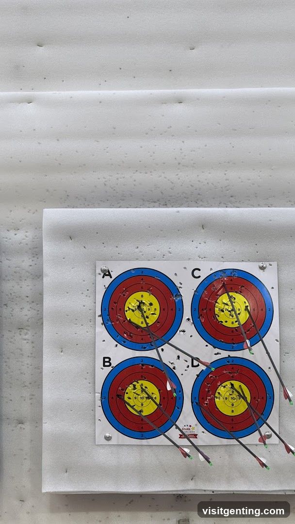 Archery Target Board