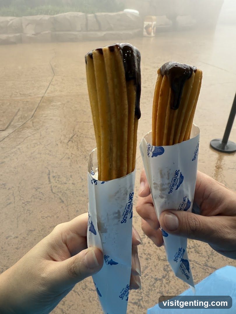 Churros with Chocolate Drizzle