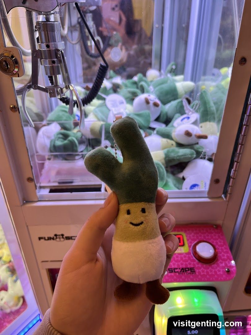 Claw Machine Interior