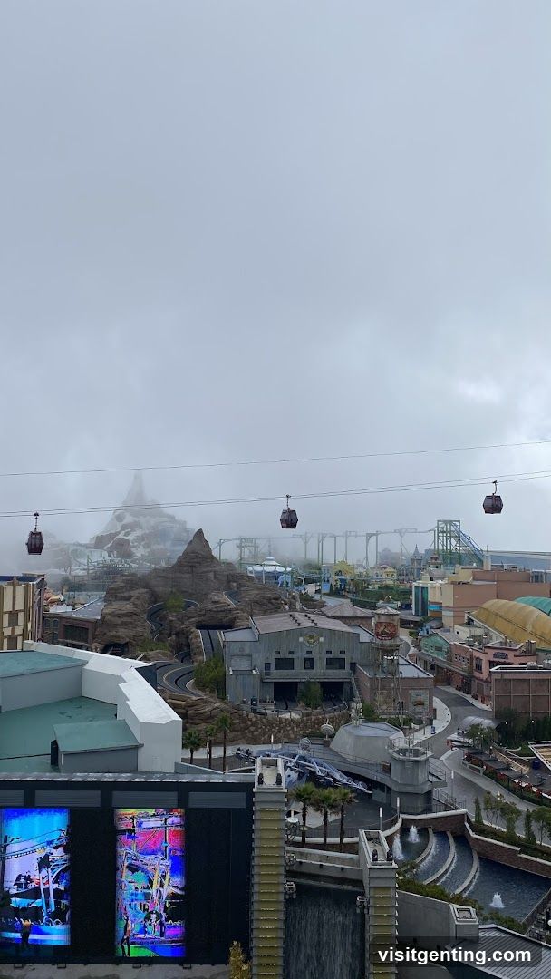 Overlooking theme park from elevated viewpoint