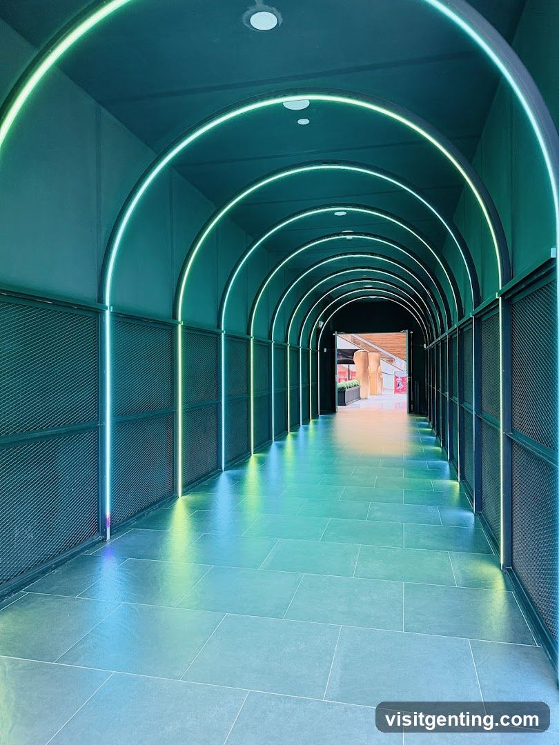Neon-lit corridor