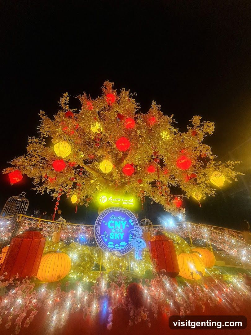 Luminous Lantern Display at Night