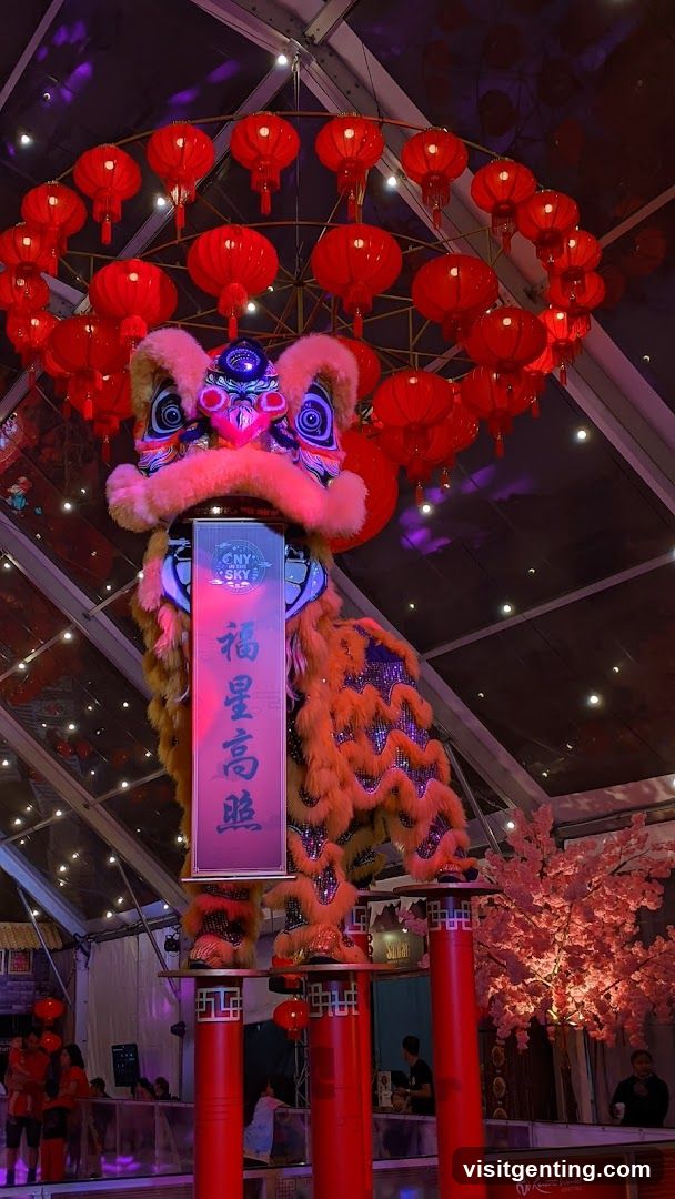Lion Dance Display at Event