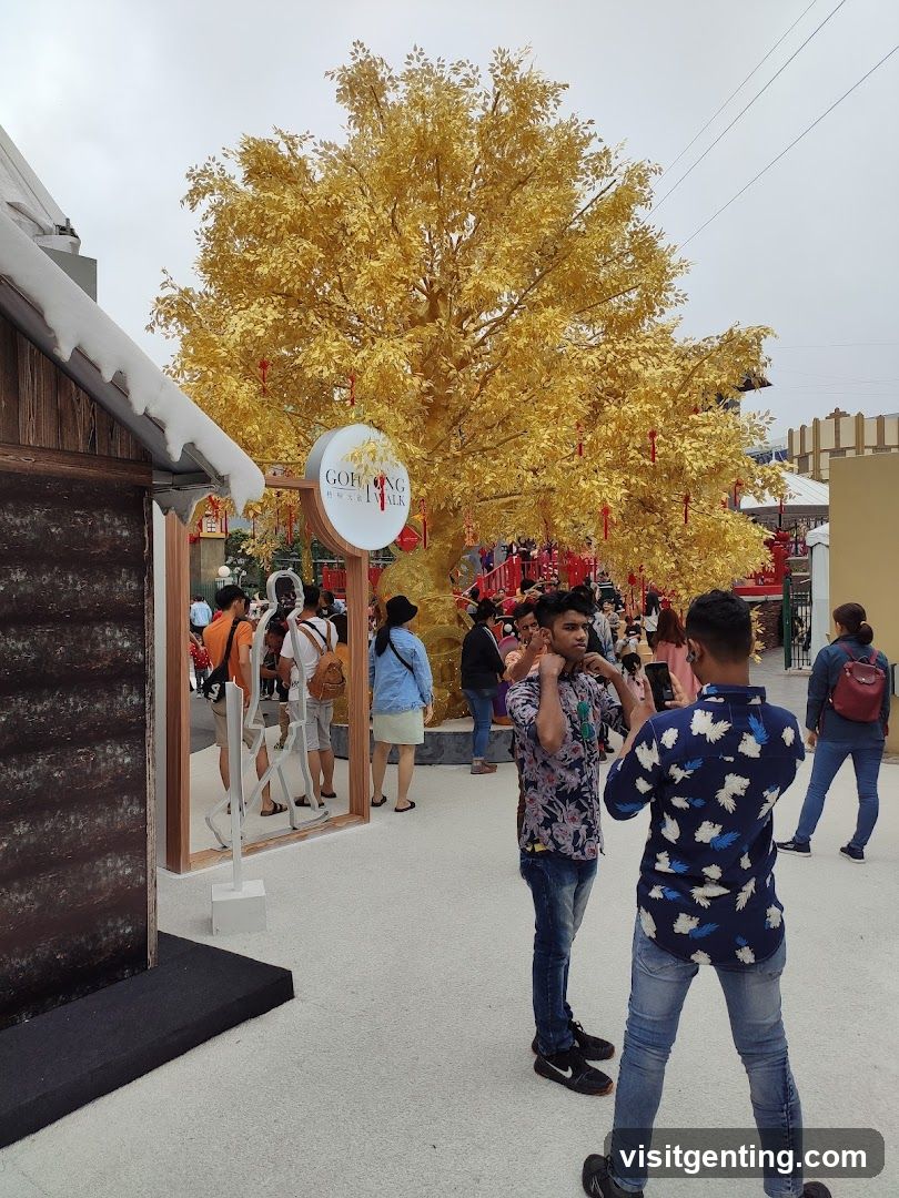 Outdoor Festival Scene