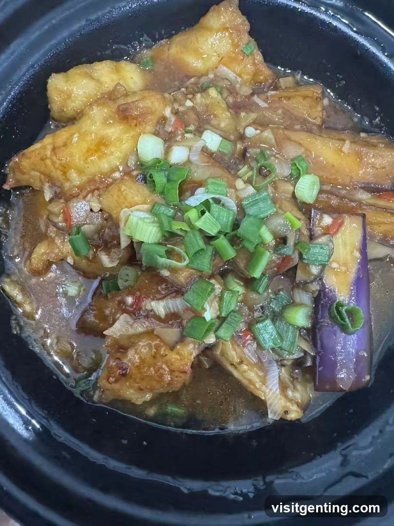 Food Dish