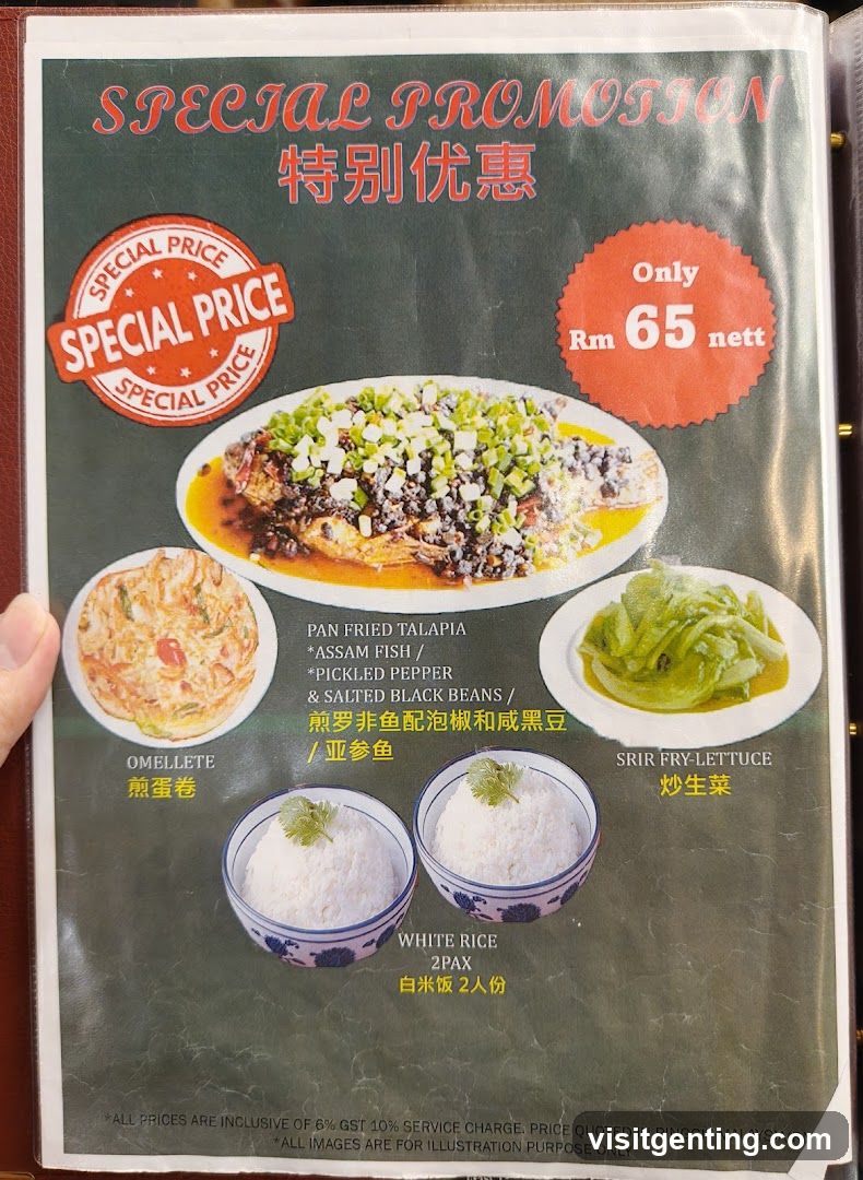 Special Promotion Advertisement