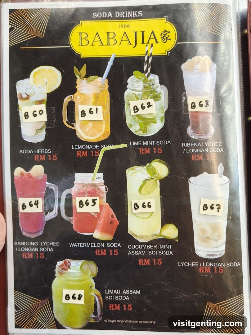 BABA JIA Soda Drinks Menu