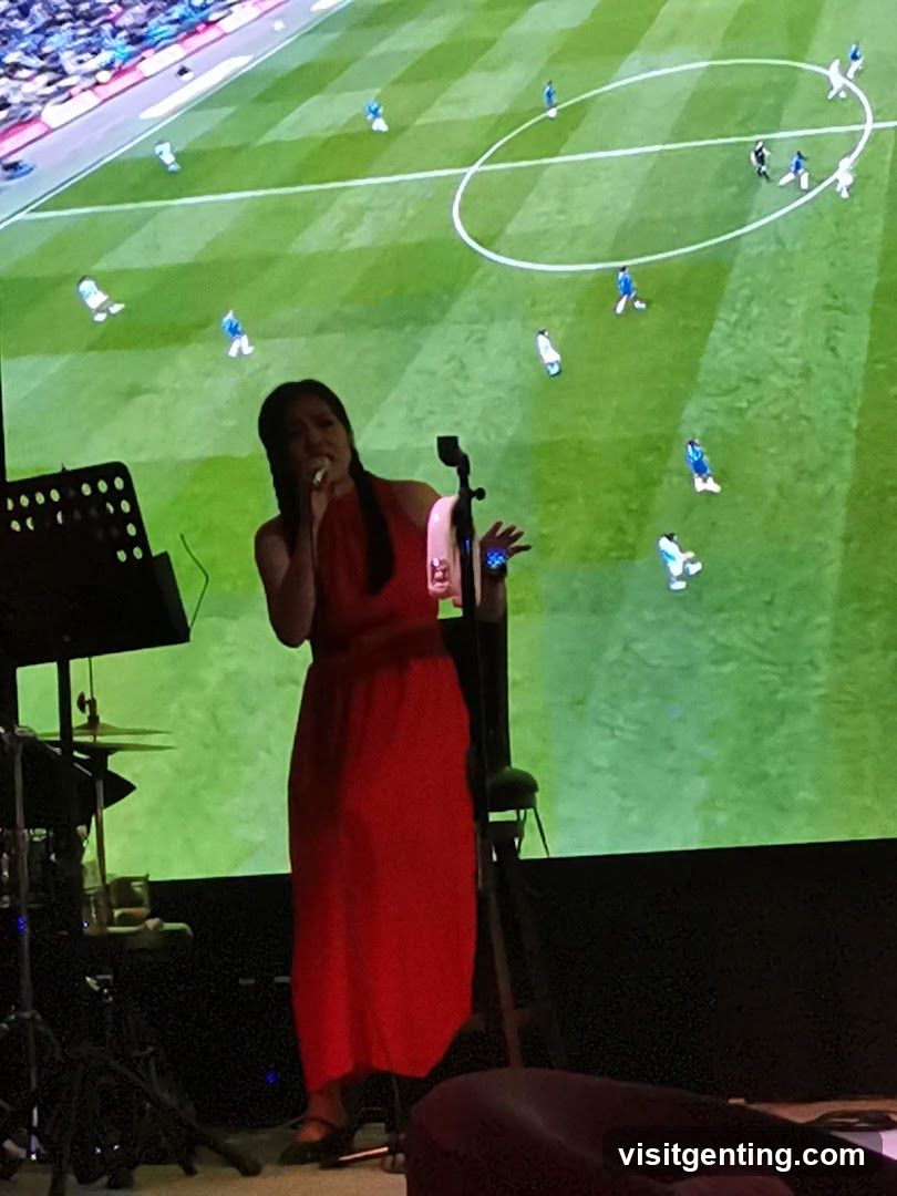 Live Performance at Sports Venue