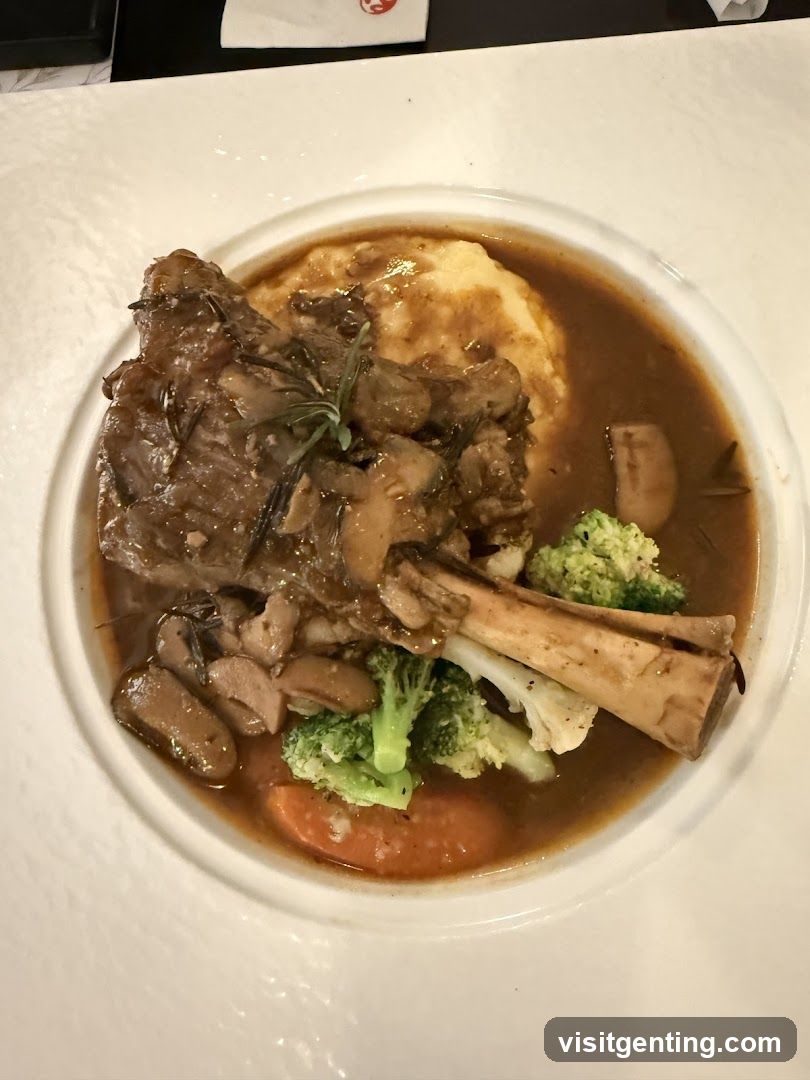 Food Dish
