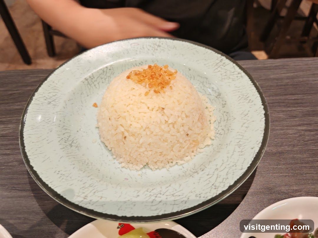 Rice dish on ceramic plate