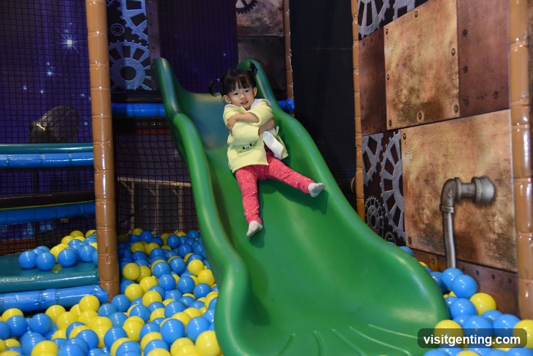Jungle Gym