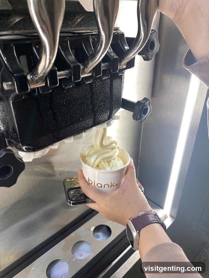 Soft Serve Ice Cream Machine