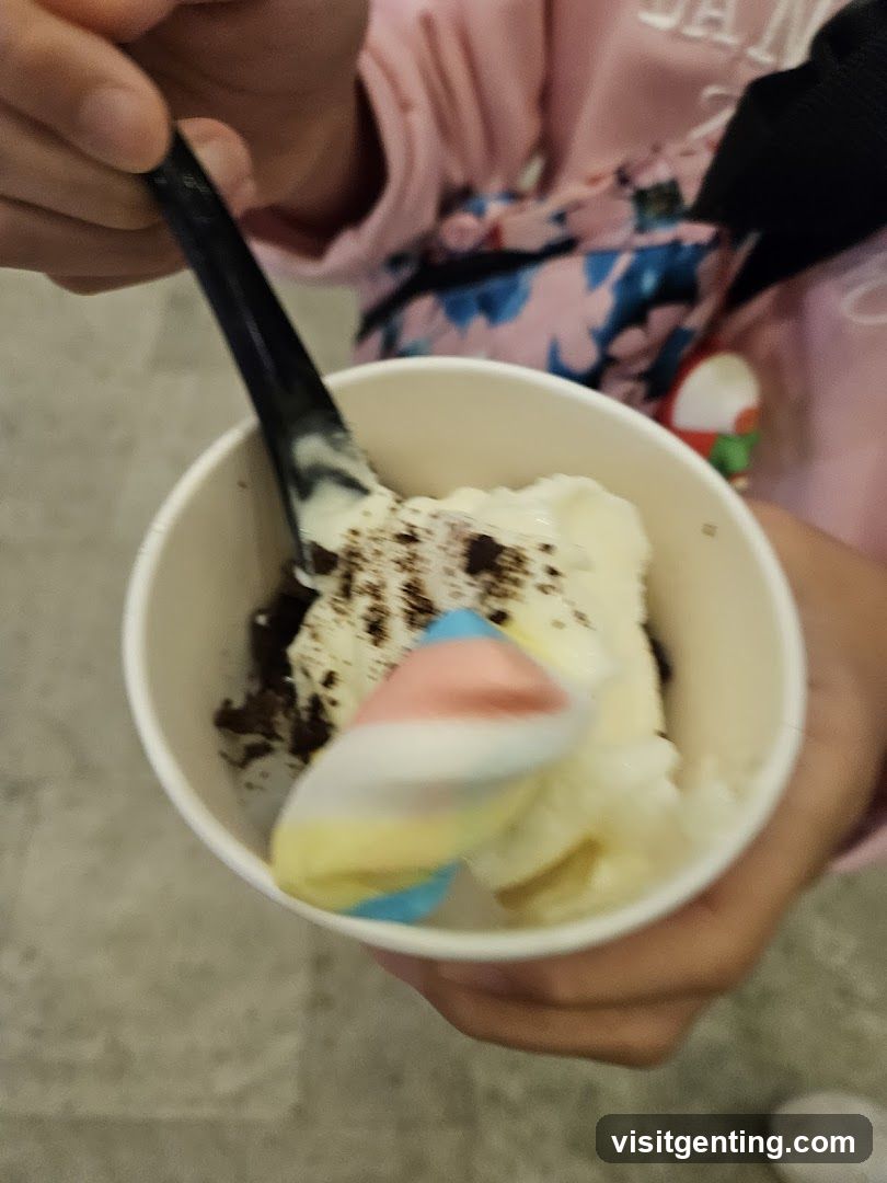 Ice Cream Cup with Marshmallow