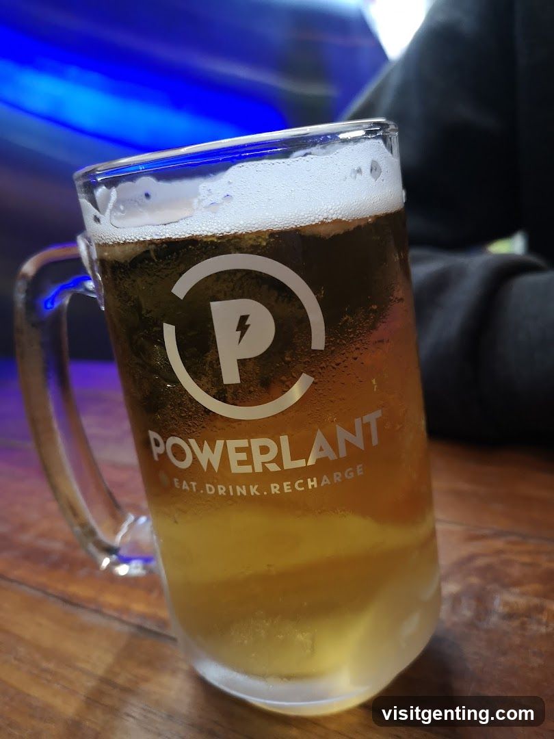 Powerlant Beer Mug