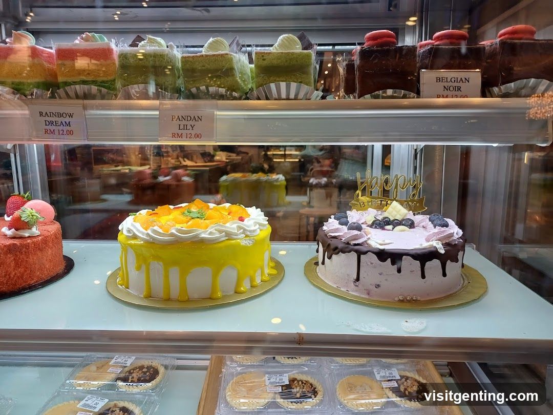 Cake Display Case