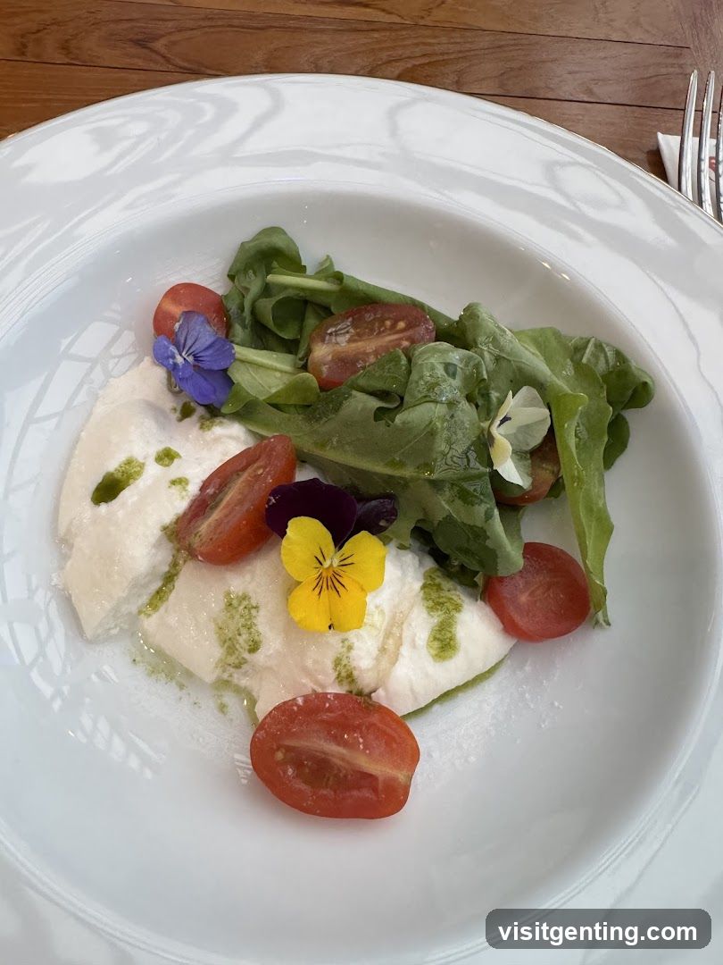 Salad Dish