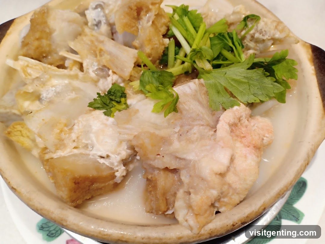 Food Dish