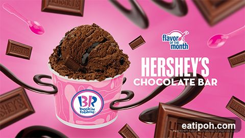 Baskin Robbins Hershey's Chocolate Bar Ice Cream