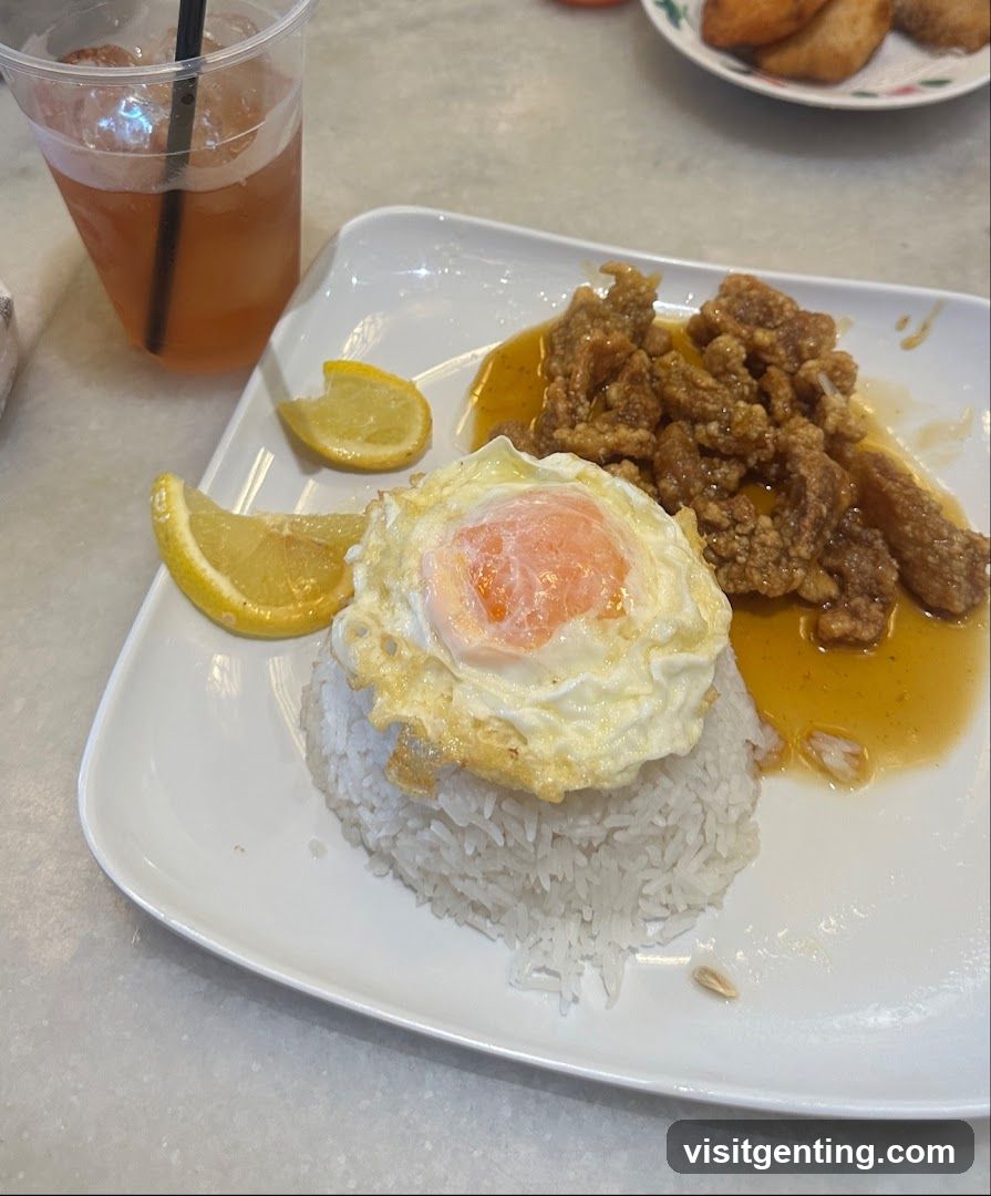 Food Plate with Rice, Fried Egg, and Meat